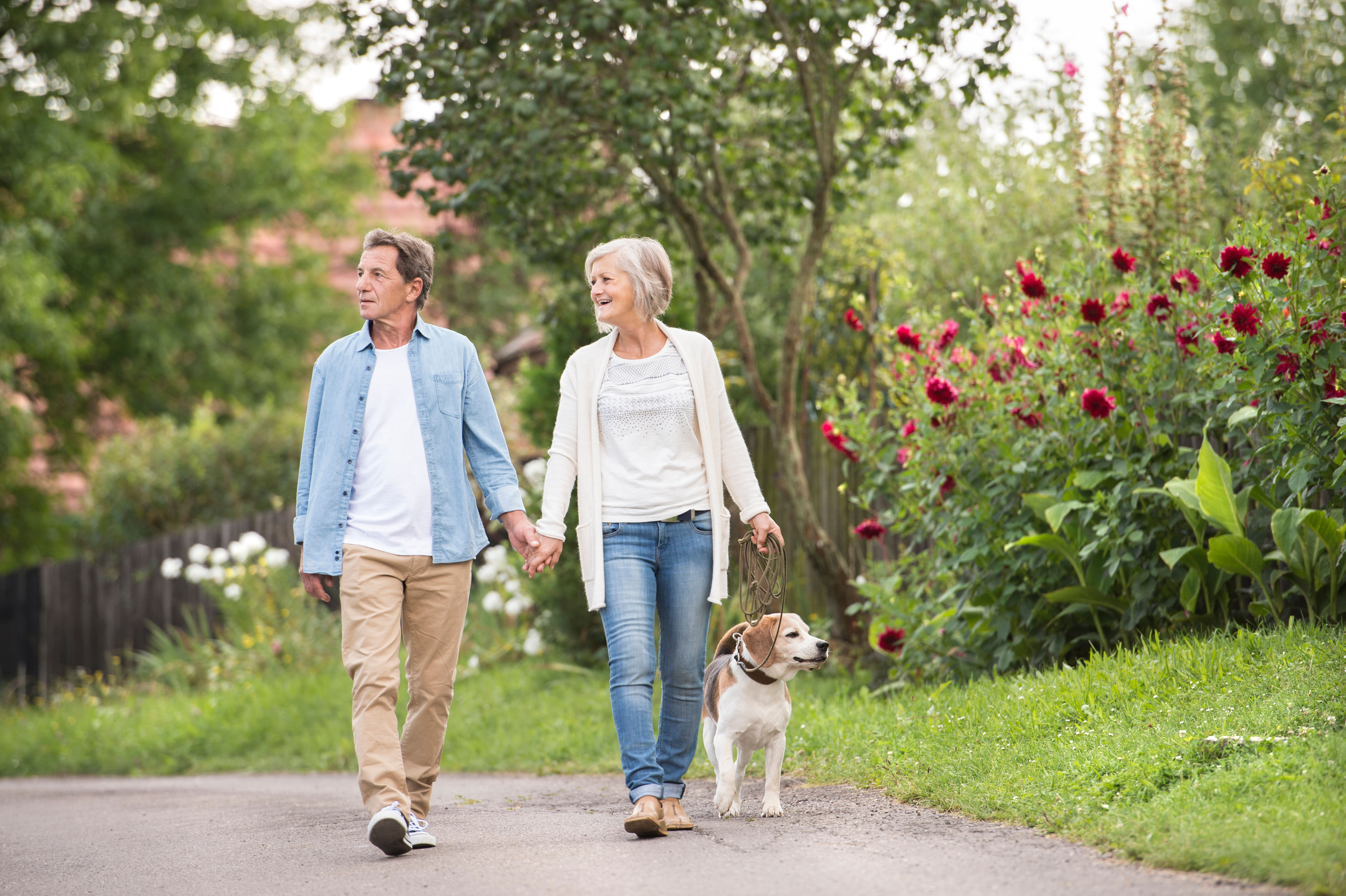 Older couple walking their dog